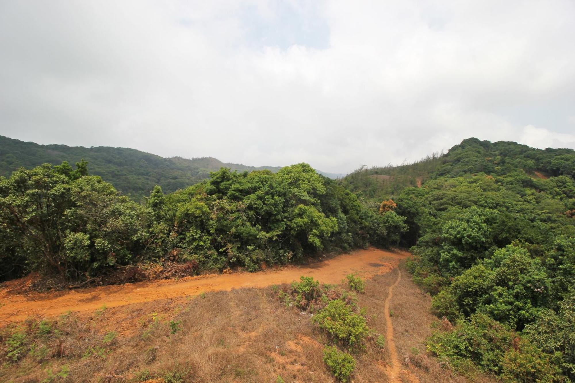 Capital O Coorg Treehouse Hotel Madikeri Exterior photo